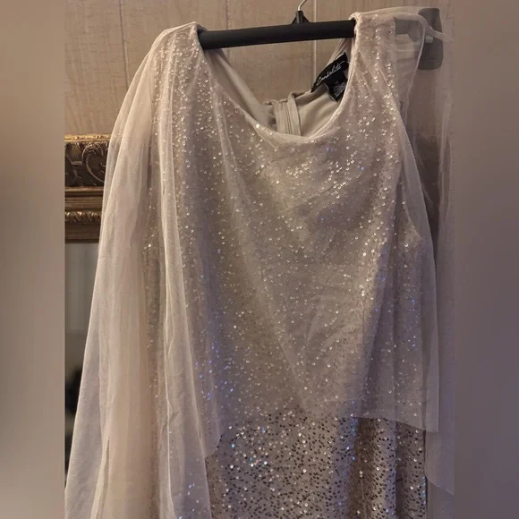 Sequin Cape Dress - Picture 4 of 4